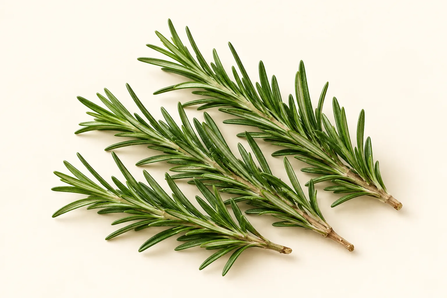 Rosemary
